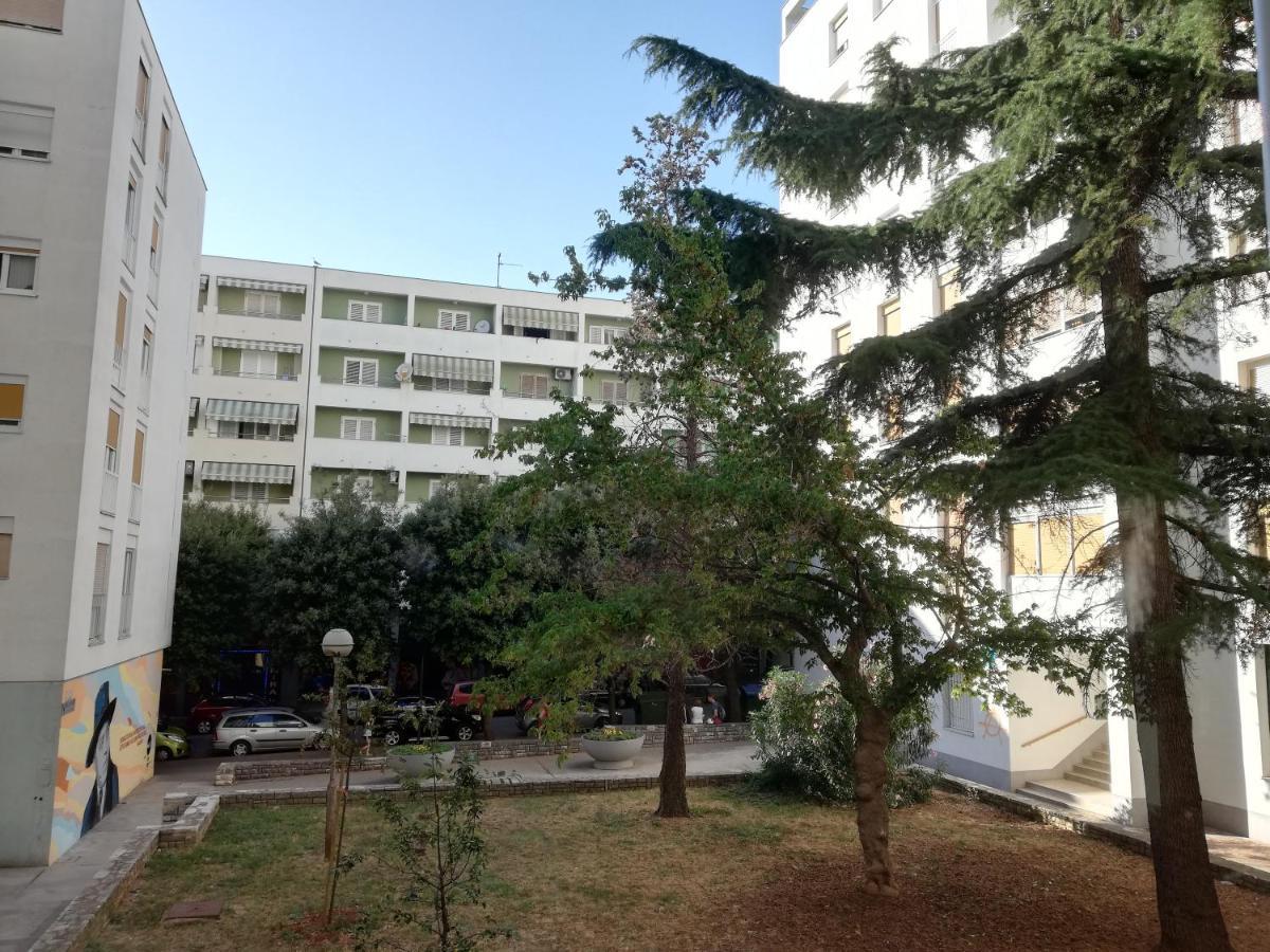 Appartement Petra Zadar